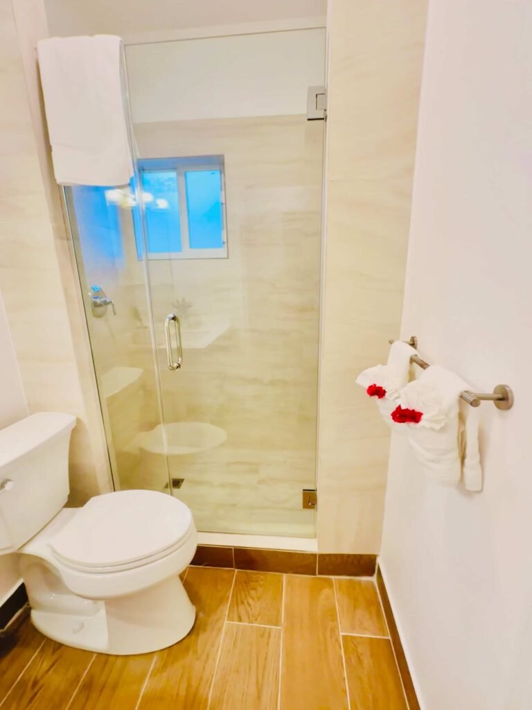 Contemporary glass walk-in shower with stylish tile finishes and modern fixtures.